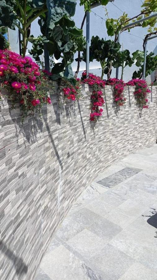 Casa Dos Avos Villa Alcaria da Serra Ngoại thất bức ảnh