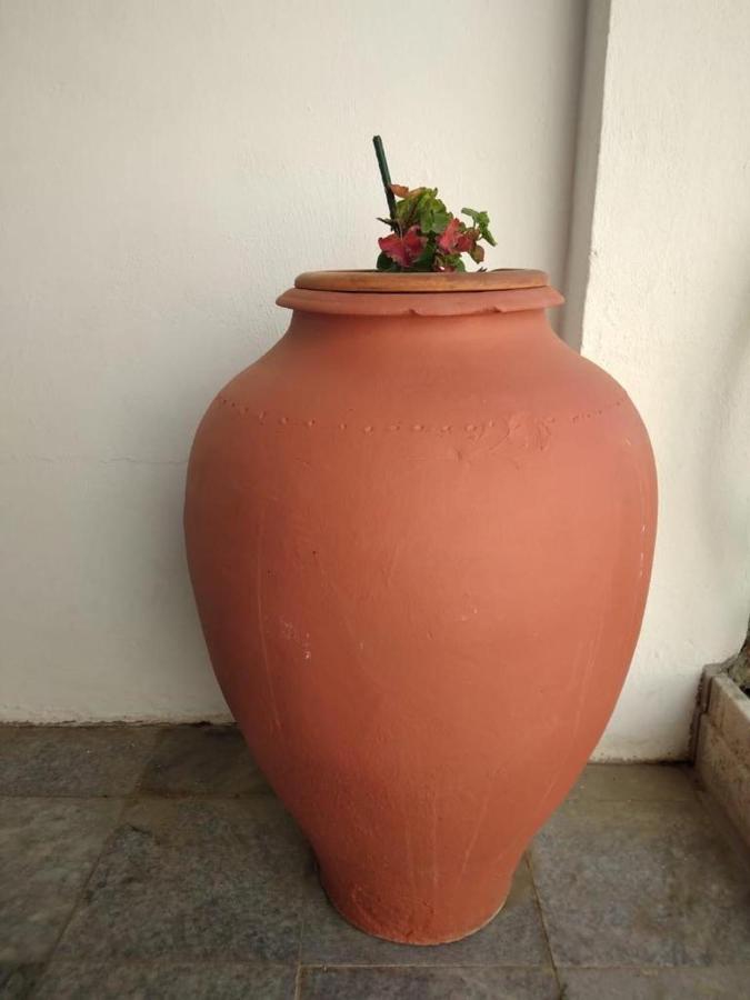 Casa Dos Avos Villa Alcaria da Serra Ngoại thất bức ảnh